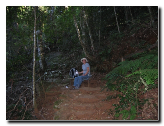 036 Aufstieg Mt.Warning
